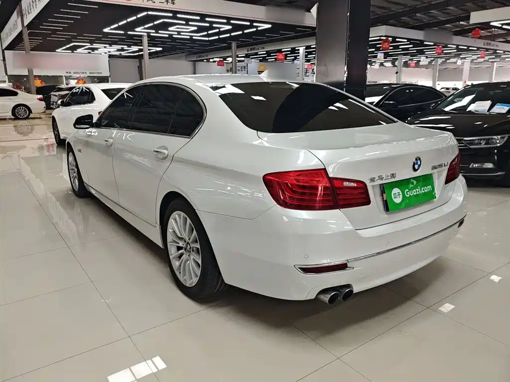 BMW 5 Series 2014 525Li Luxury Design Package фото 5