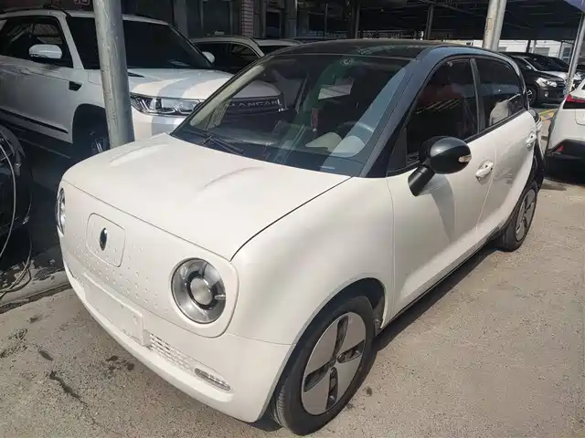 EULER BLACK CAT 2020