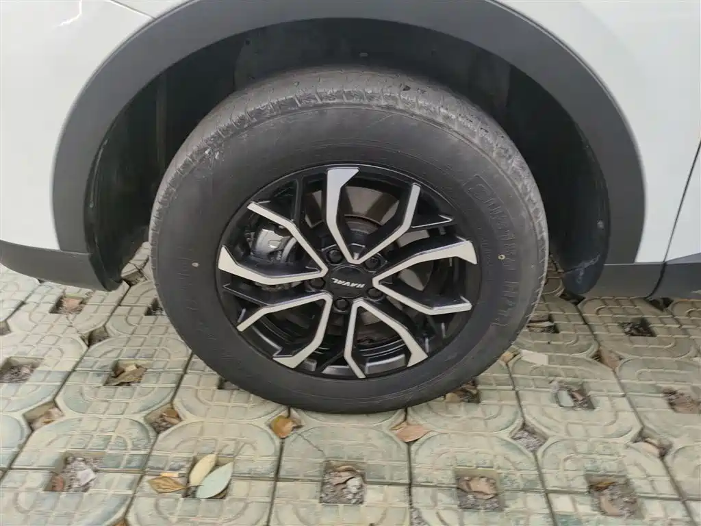 Haval H6 2023 National Trend Edition 1.5T Automatic Urban фото 25