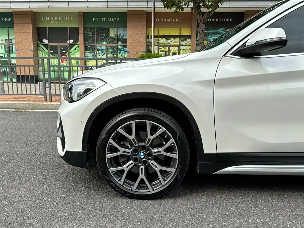 BMW X1 2020 xDrive25Li Premium Edition фото 8