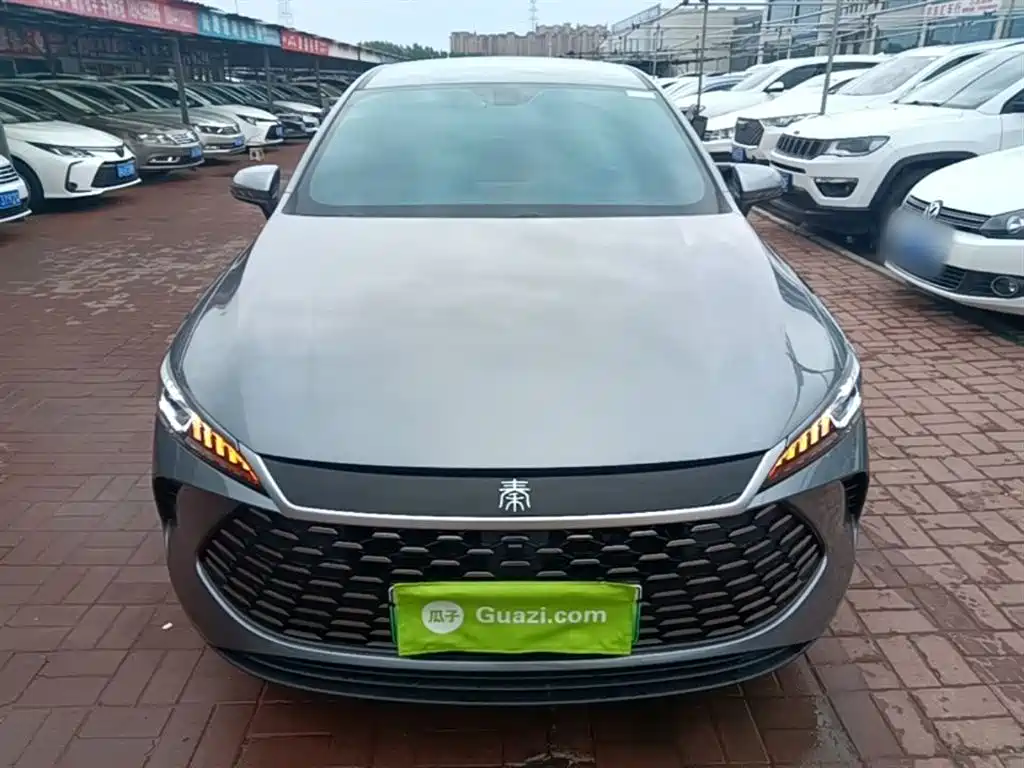 BYD Qin PLUS 2025 DM-i Smart Drive 55KM Leader фото 3