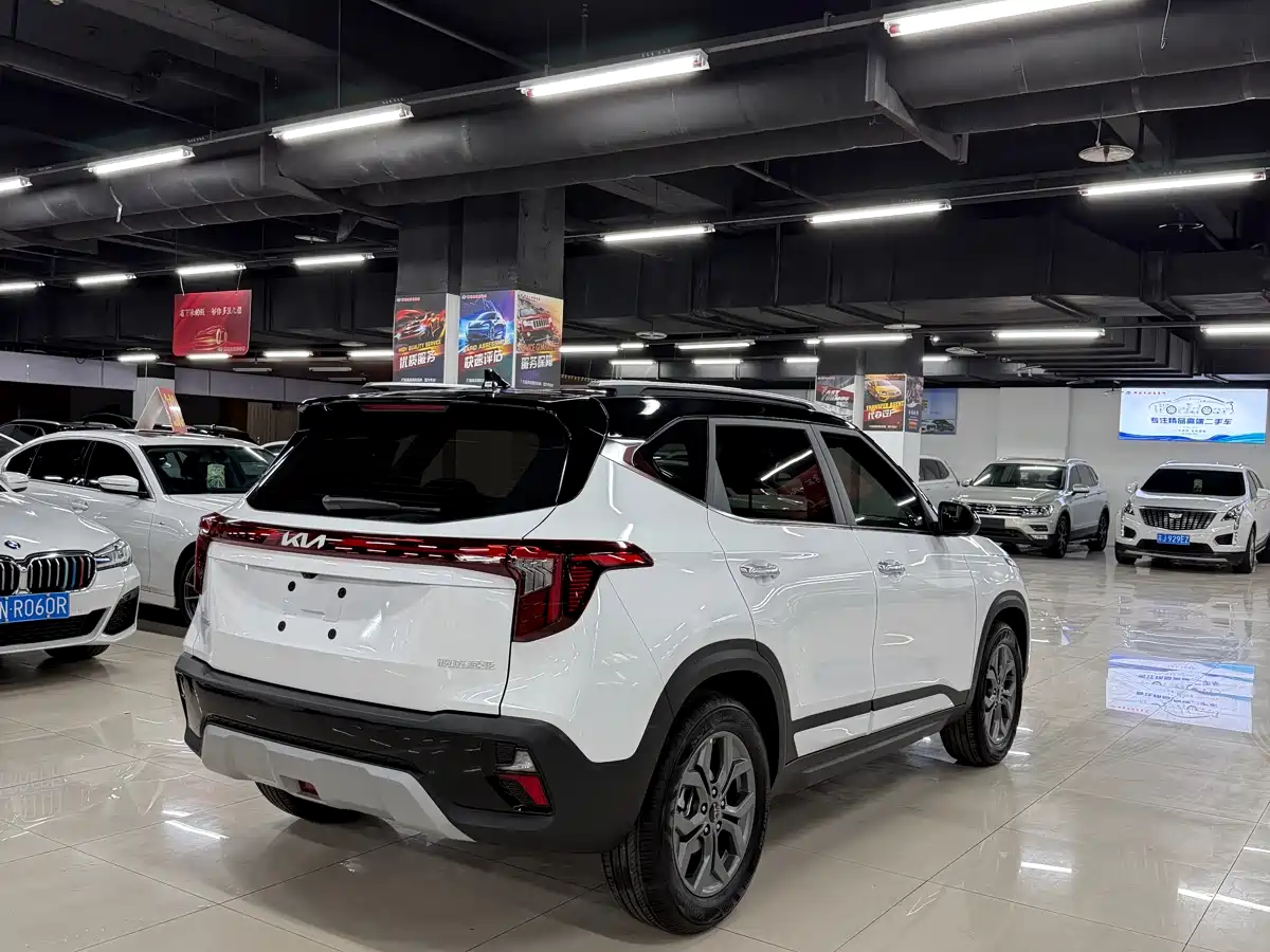 Kia Seltos 2026 1.5L IVT Luxury Edition фото 8