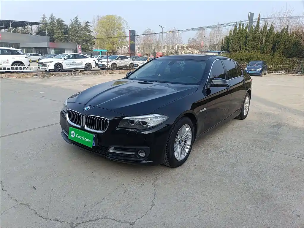 BMW 5 Series 2014 525Li Leading фото 2
