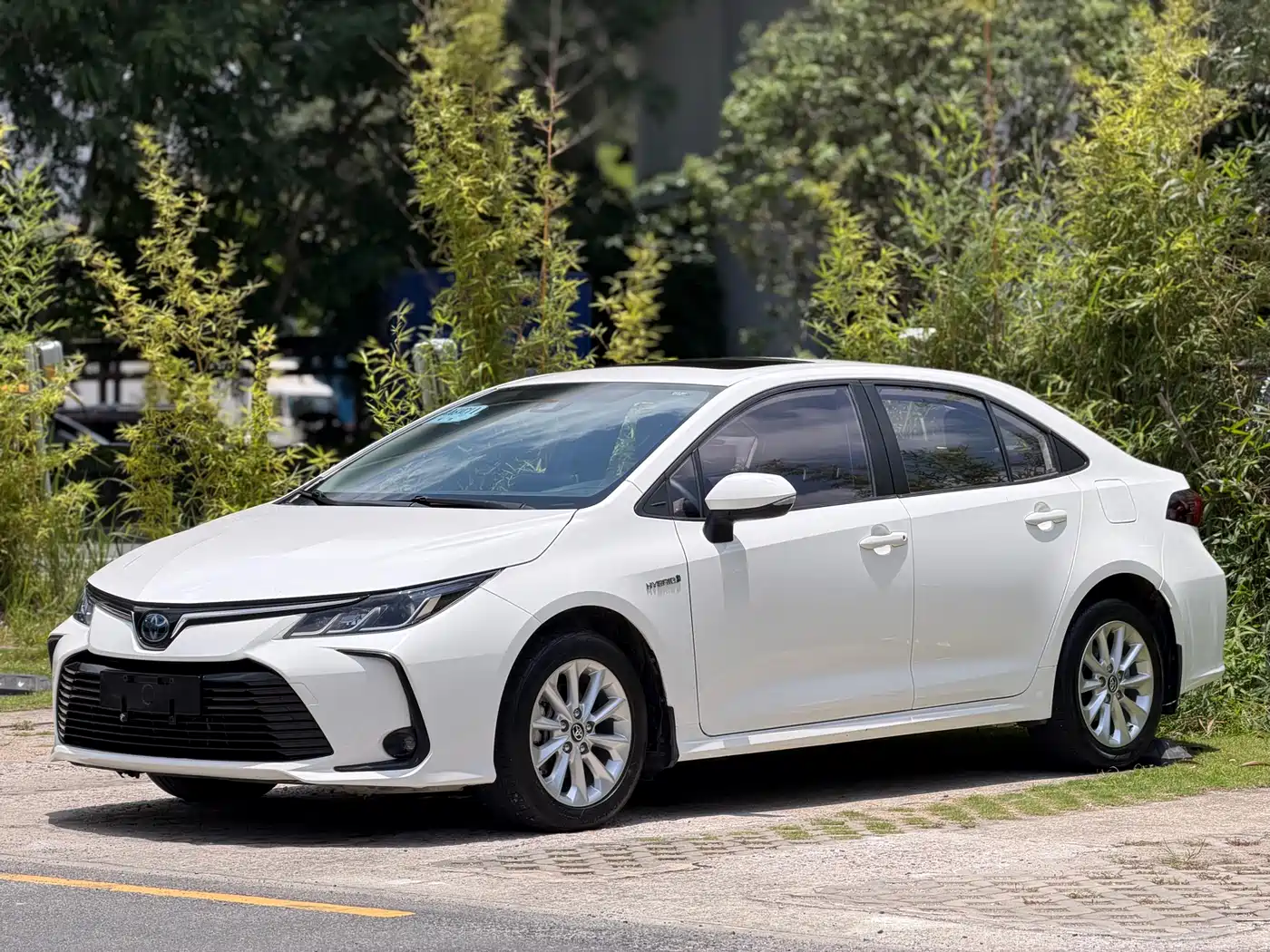 Toyota Corolla 2019 Hybrid 1.8L E-CVT GL-i Elite Edition