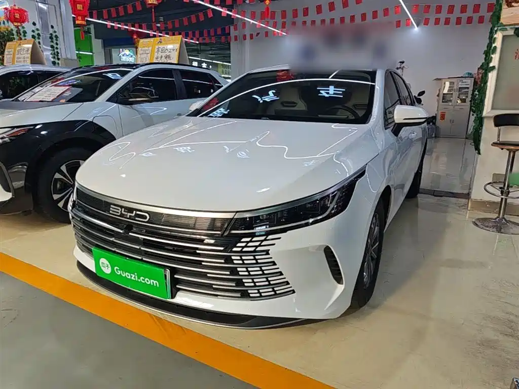BYD Destroyer 05 2024 Glory Edition DM-i 55KM Luxury