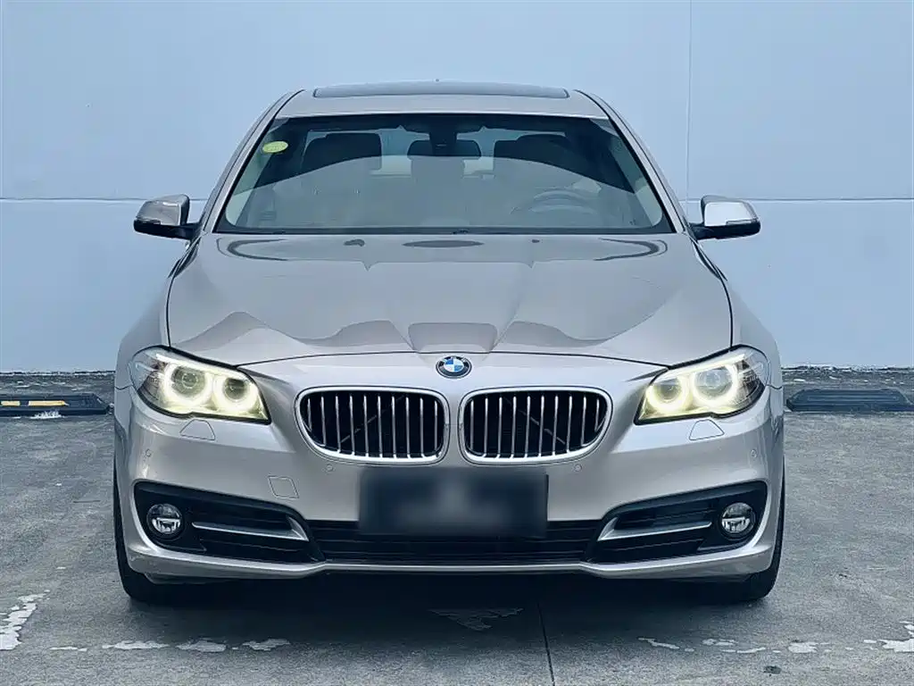 BMW 5 Series 2014 520Li Elegance фото 20
