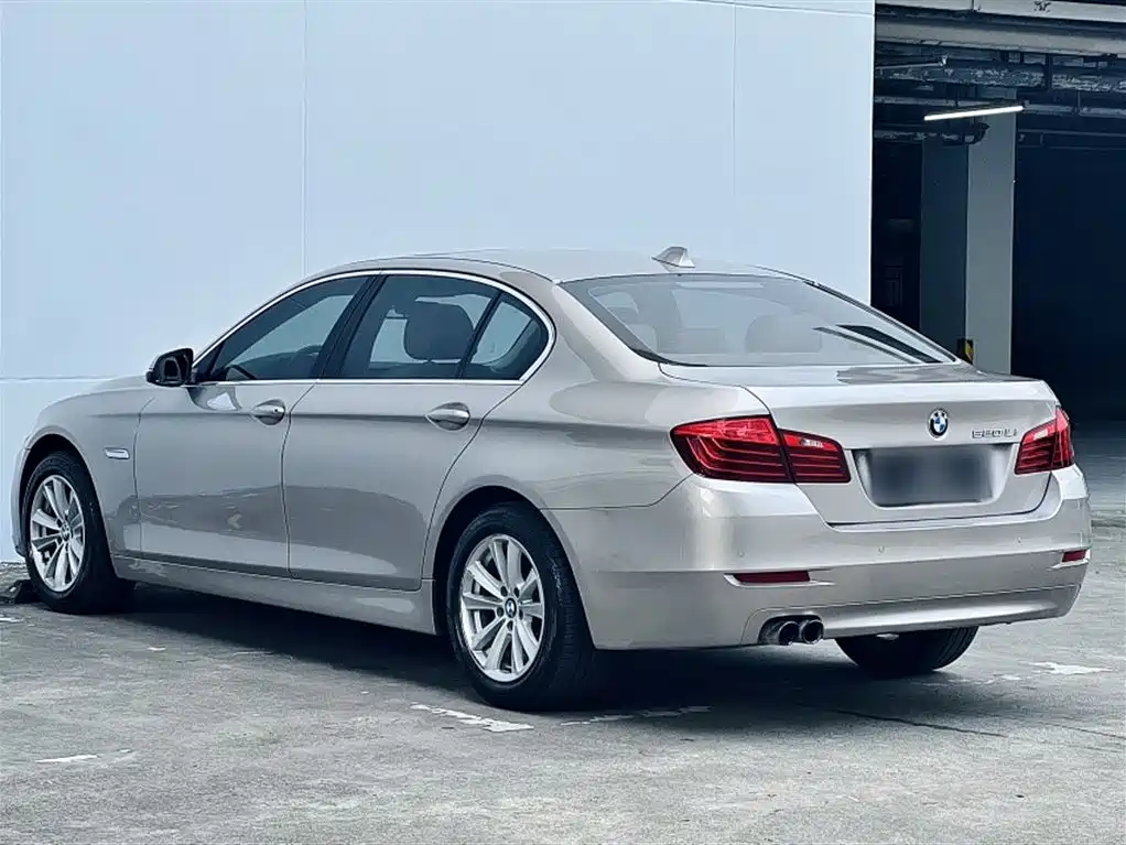 BMW 5 Series 2014 520Li Elegance фото 23