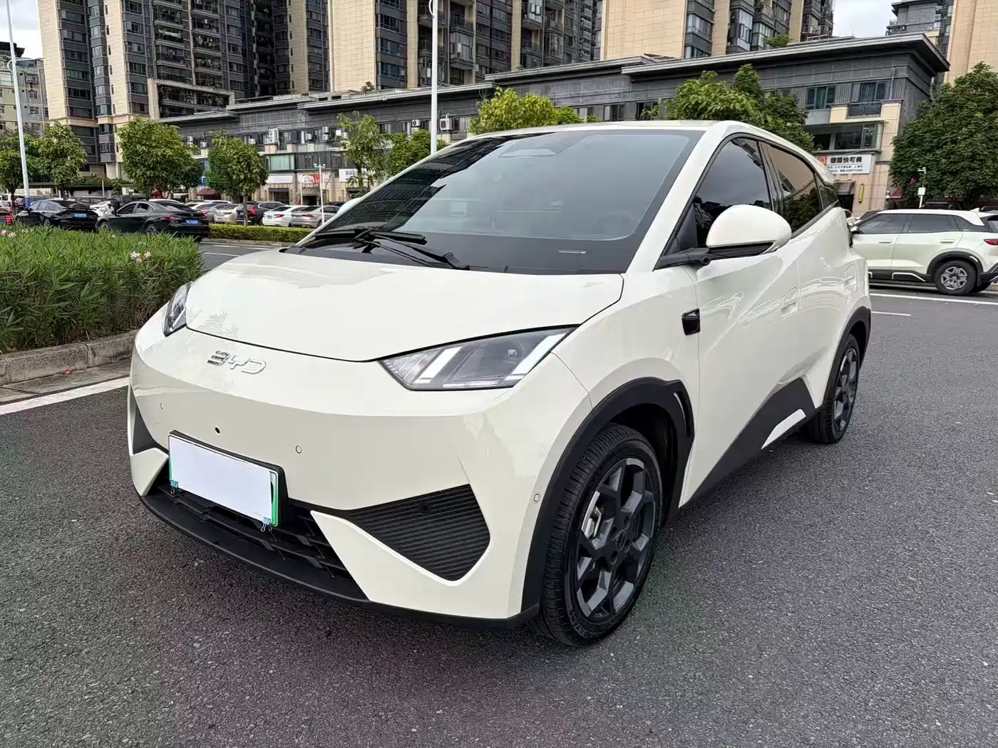 BYD Seagull 2025 Smart Drive Edition 305km Freedom Version