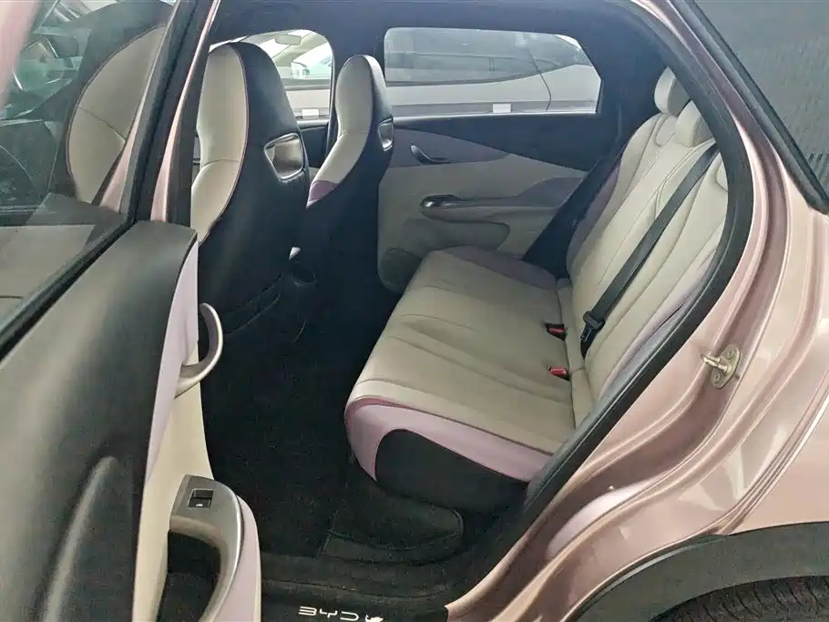 BYD Dolphin 2021 Model 405km Fashion Edition фото 11