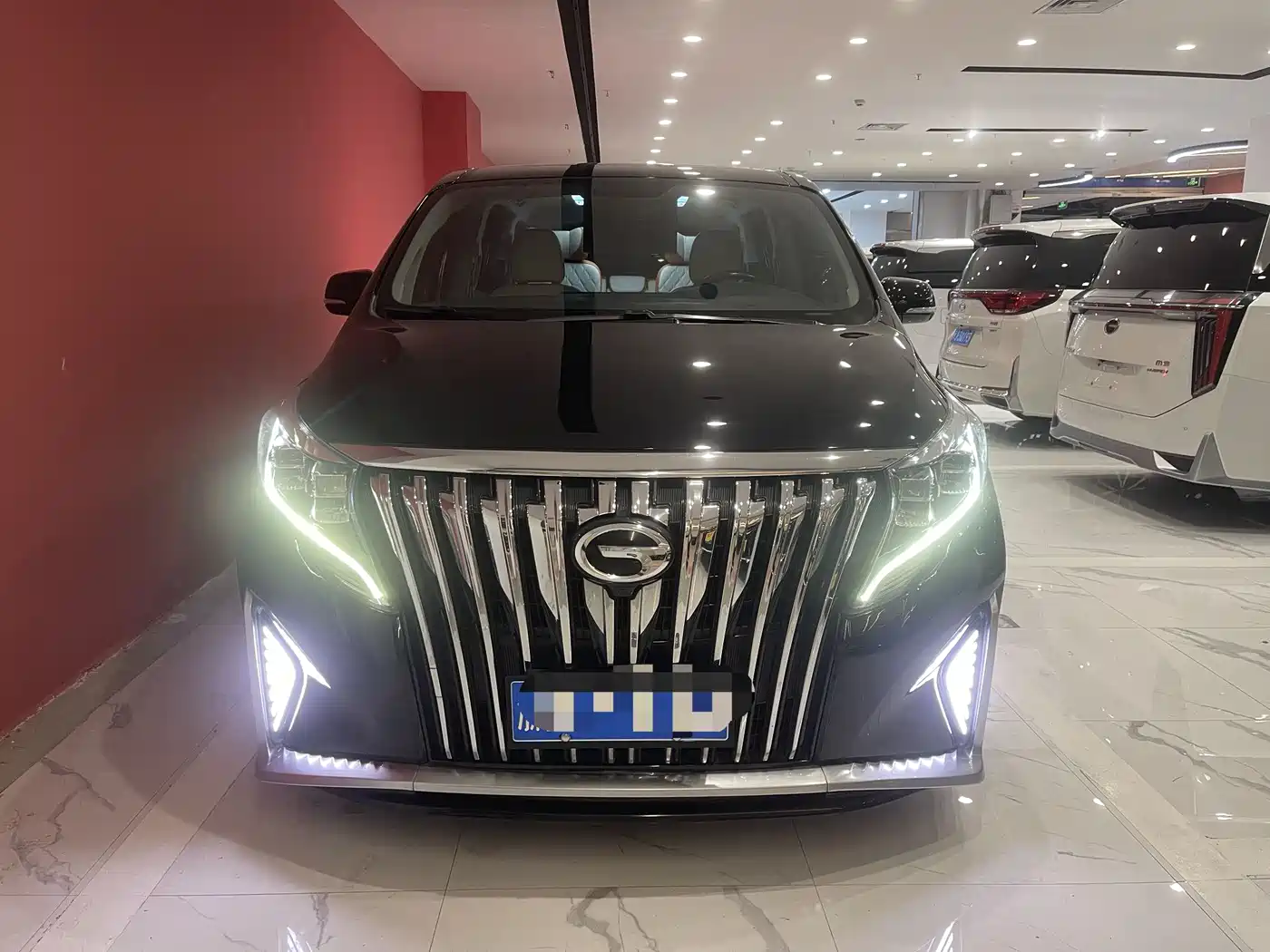 GAC Trumpchi Trumpchi M8 2021 Leading Show Series 390T Luxury Edition фото 2