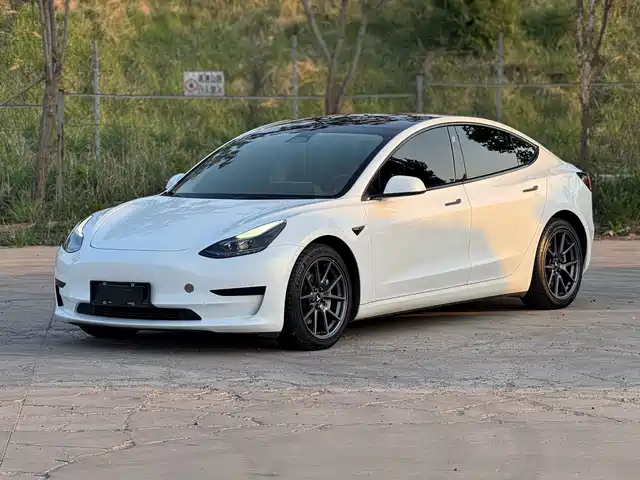 Tesla Model 3 2022 Model Rear-Wheel Drive Version