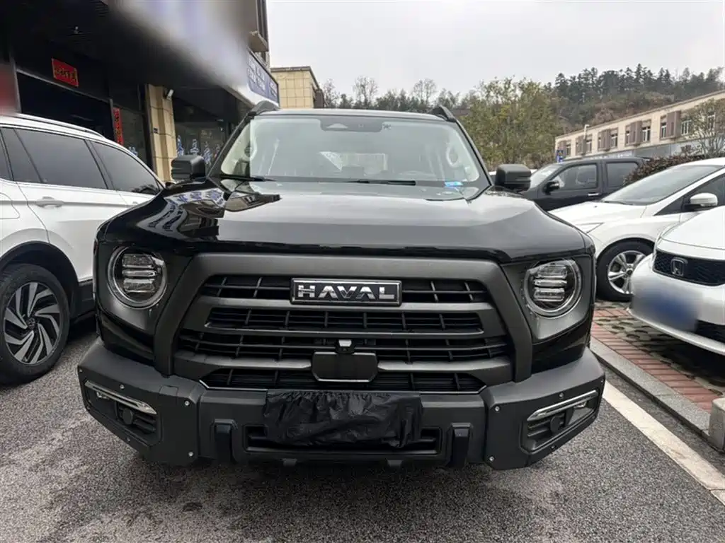 Haval Big Dog 2024 2.0T DCT Chinese Rural Dog Edition фото 3