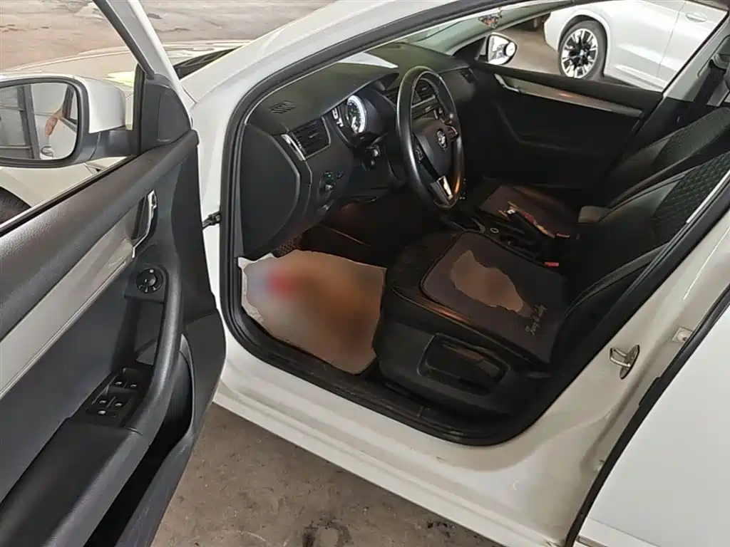 Škoda Octavia 2018 TSI230 DSG Luxury Edition фото 16