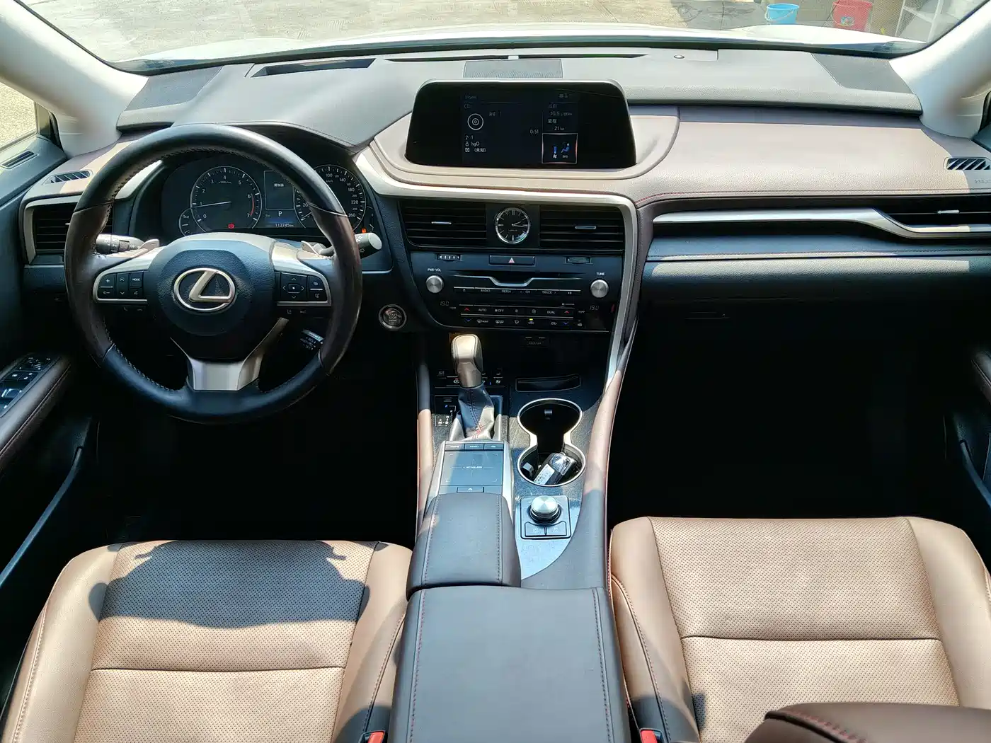 Lexus RX 2020 300 4WD Elegance Edition China VI фото 13