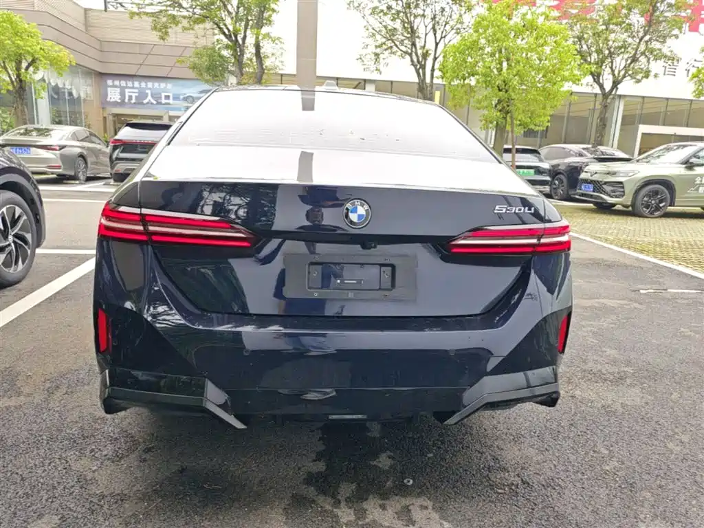 BMW 5 Series 2024 530Li Leading M Sport Package фото 10