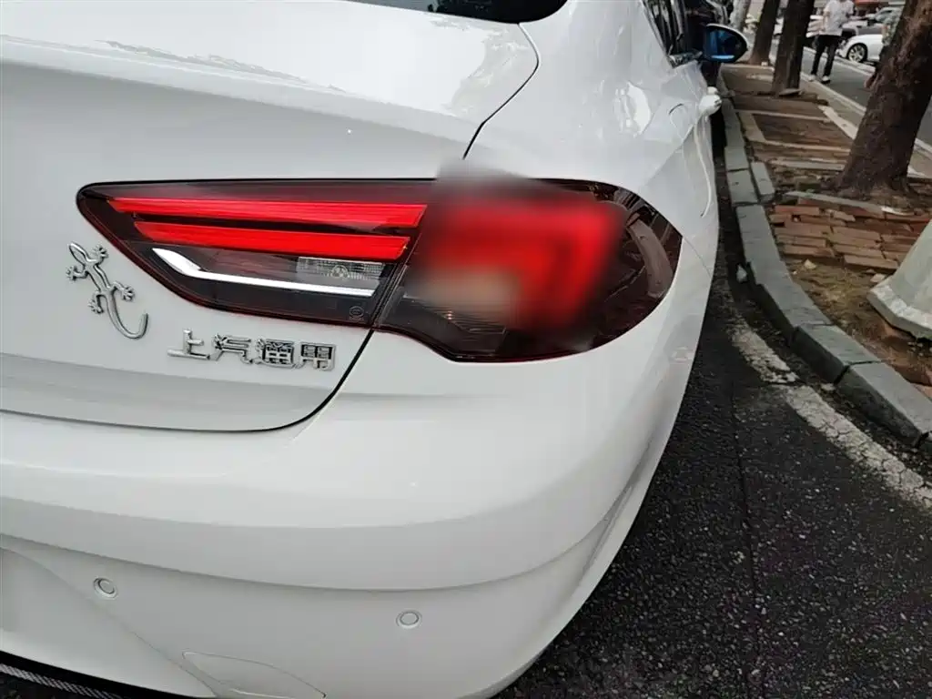 Buick Regal 2017 20T Elite Type фото 8