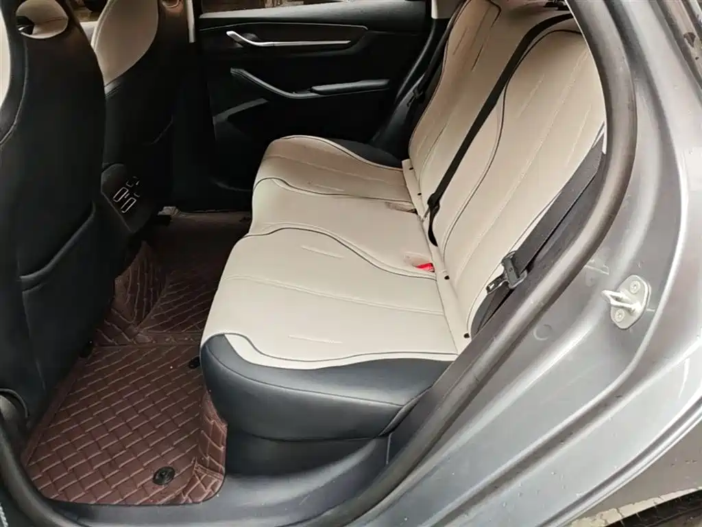 BYD Destroyer 05 2024 Glory Edition DM-i 55KM Luxury фото 17