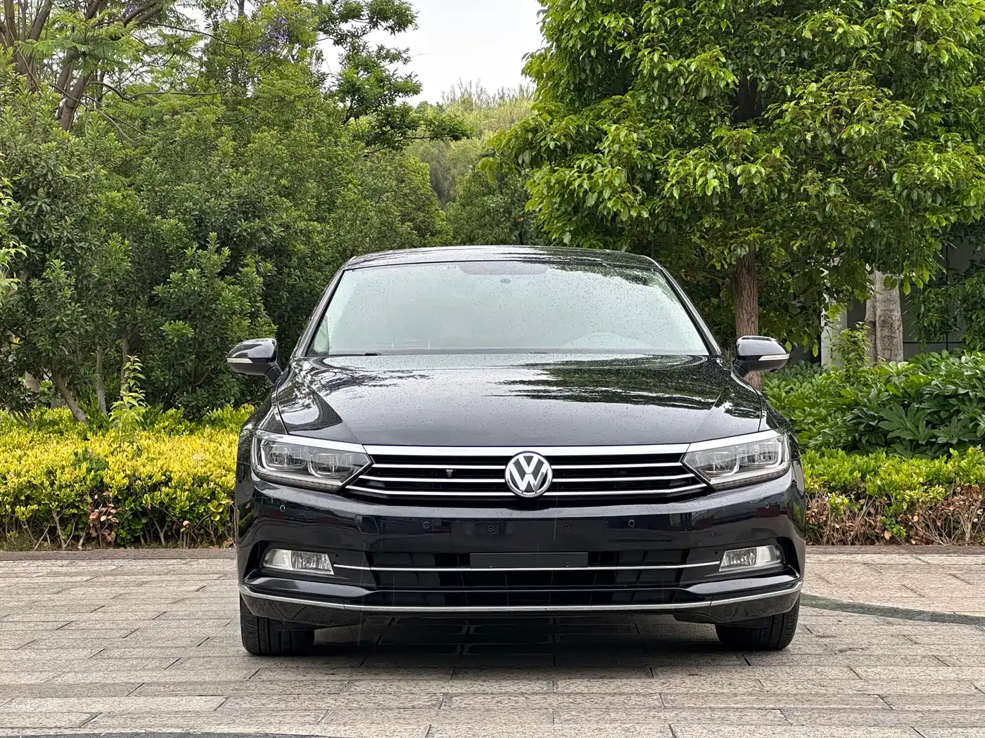 Volkswagen Magotan 2019 330TSI DSG Leading China VI фото 2