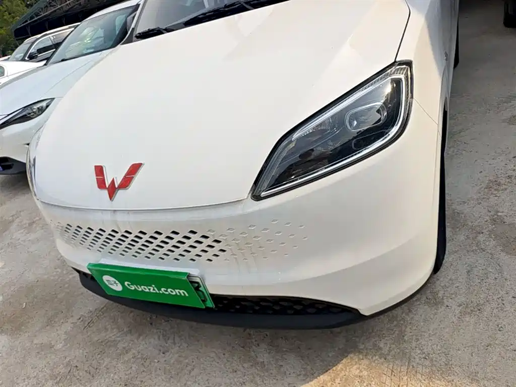 Фото 24 - Wuling Motors Wuling Hongguang New Energy