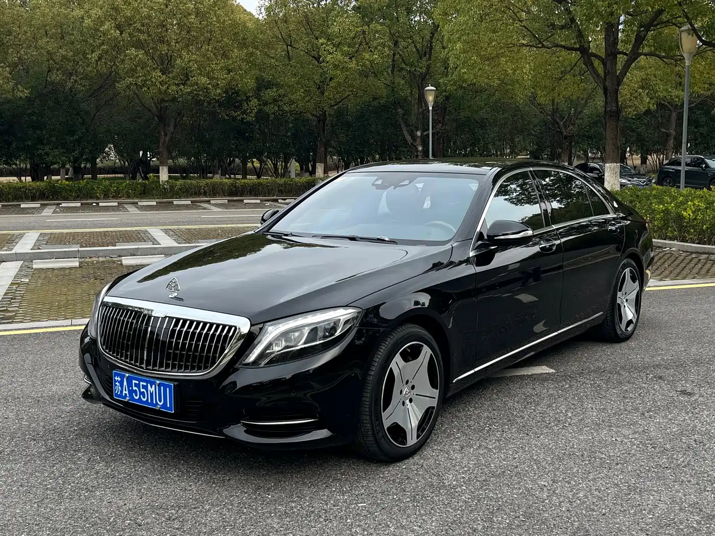 Mercedes-Benz S-Class 2014 S 500 L фото 28
