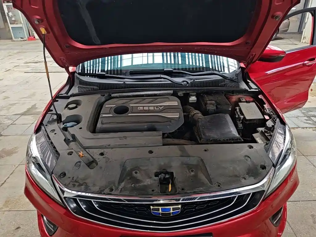 Фото 20 - Geely Binrui