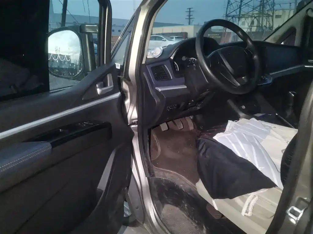 DONGFENG POPULAR LINGZHI