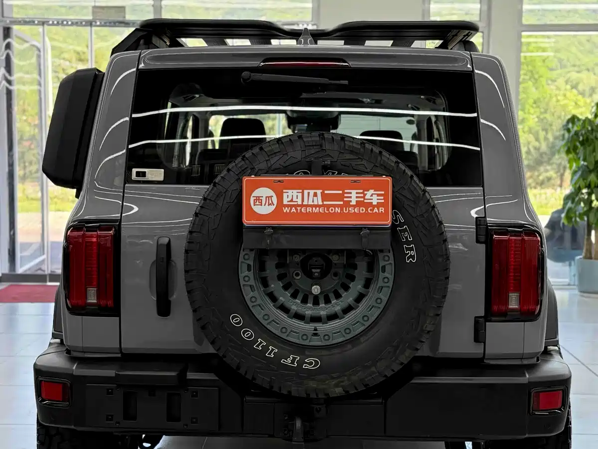 Tank 300 2021 Off-road Version 2.0T Conqueror фото 14