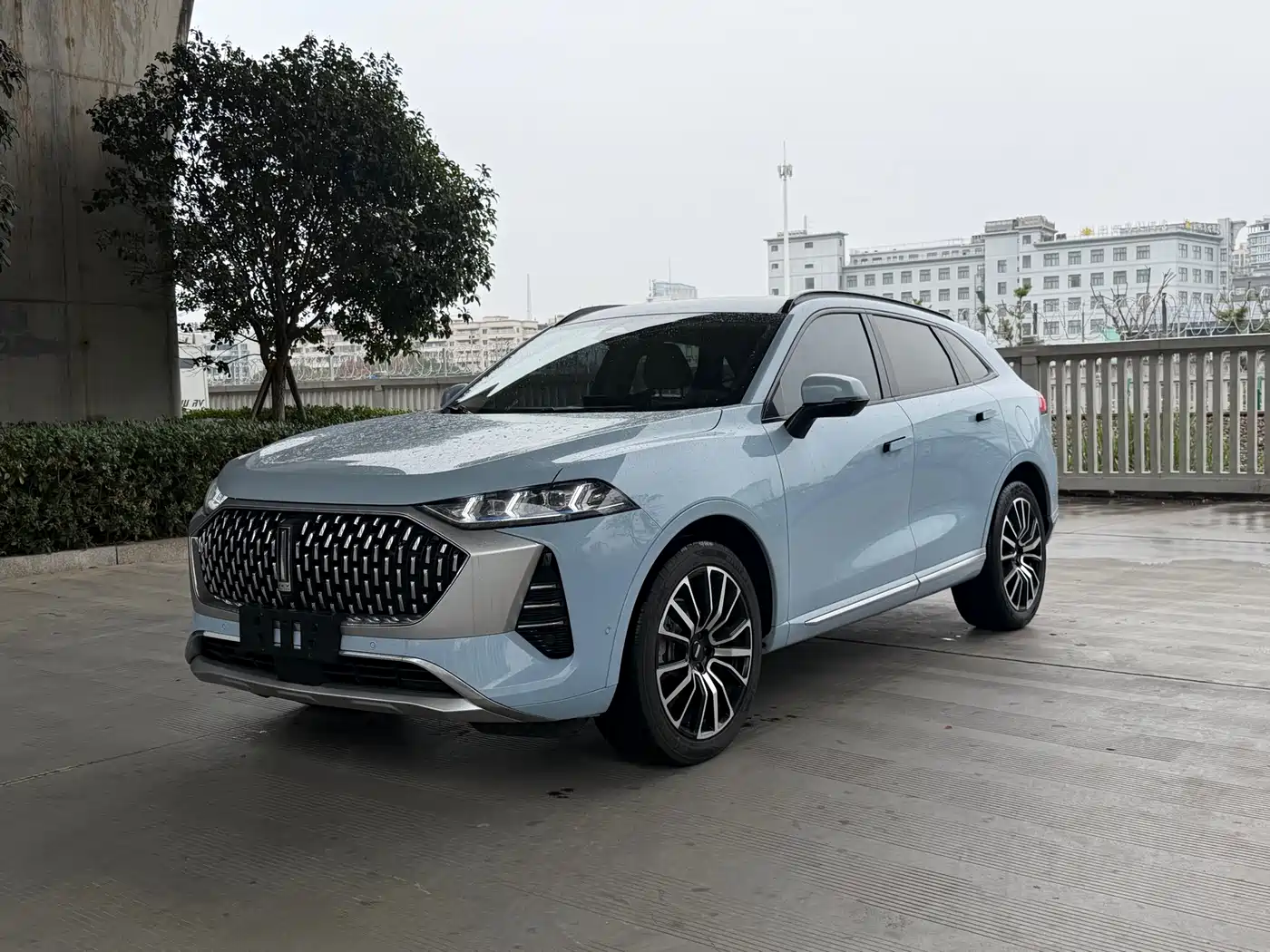 WEI PAI WEI BRAND MOCHA