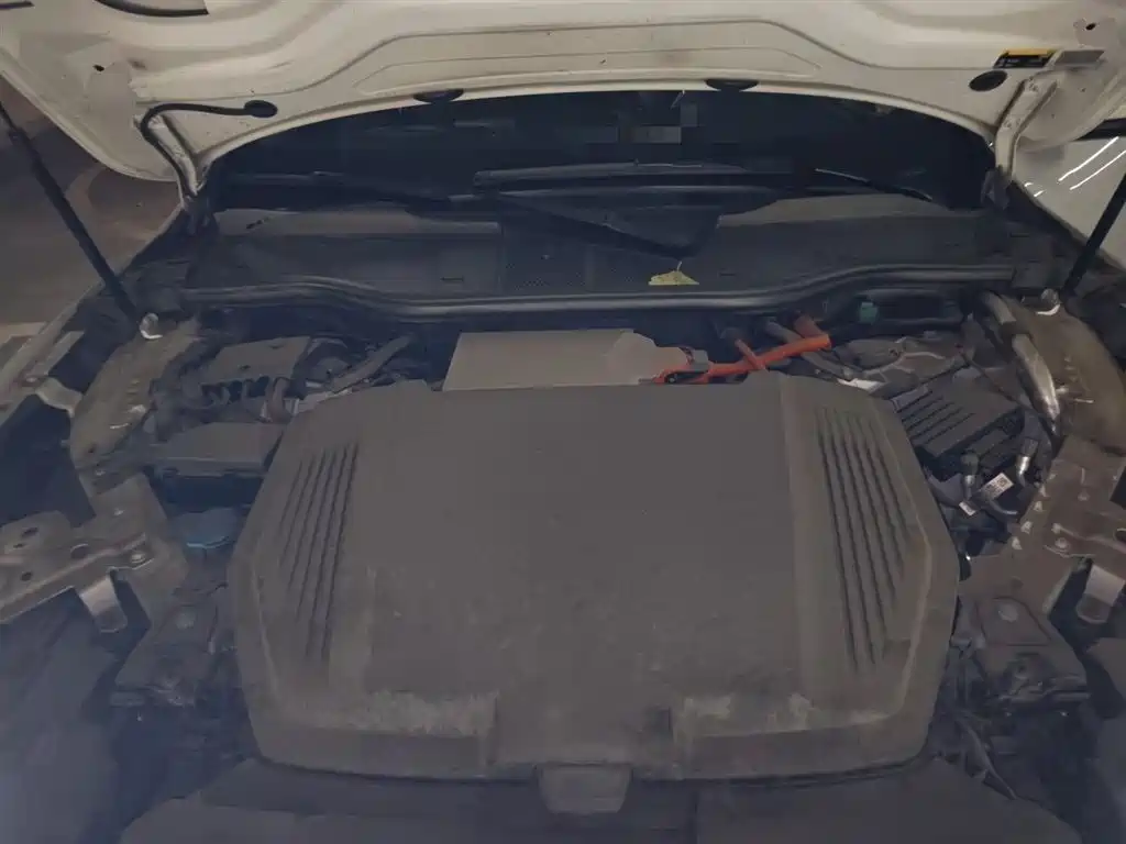 Audi e-tron (Import) 2019 55 quattro Technology фото 21