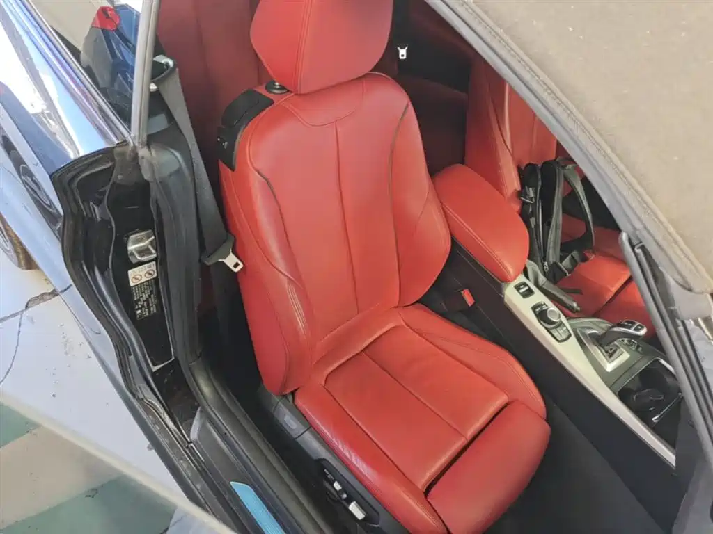 BMW 2 Series (Import) 2018 225i Convertible Coupe Premium M Sport Package фото 25