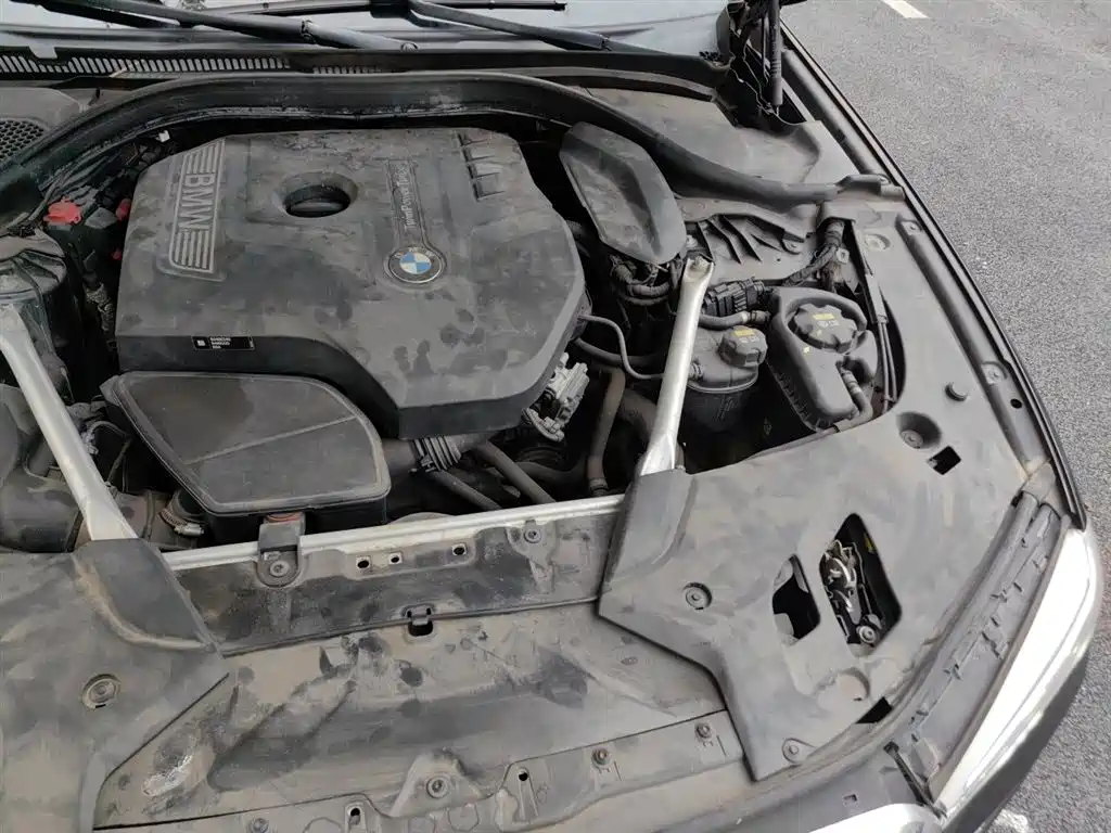 BMW 5 Series 2020 530Li Leading M Sport Package фото 23