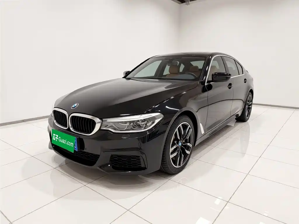 BMW 5 Series 2020 530Li Leading M Sport Package