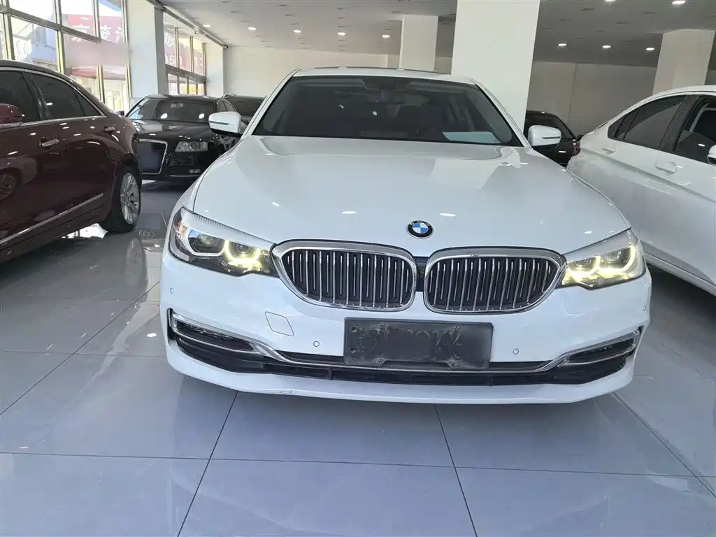 BMW 5 Series 2019 525Li Luxury Package фото 7