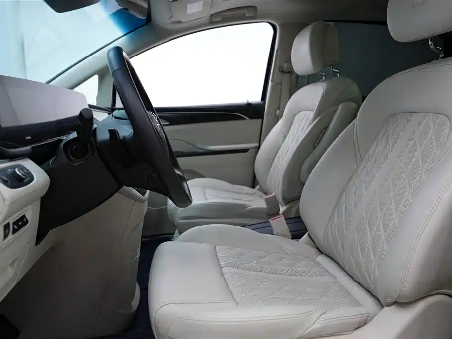 Buick GL8 2020 Avenir Six-Seat Elegance Edition фото 5
