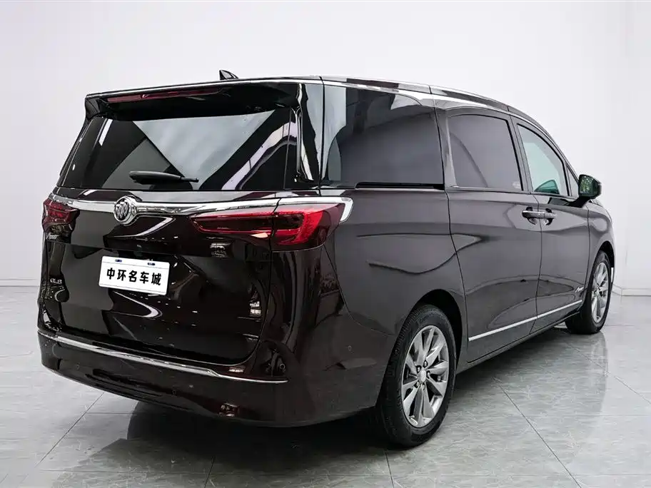 Buick GL8 2020 Avenir Six-Seat Elegance Edition фото 18