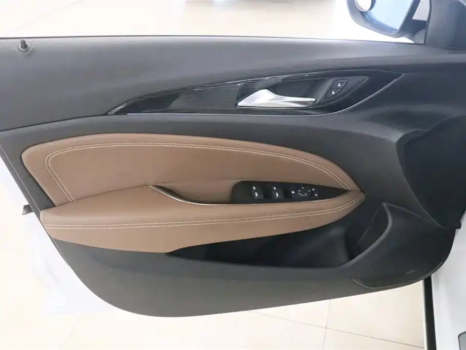 Buick Regal 2017 20T Elite Type фото 12