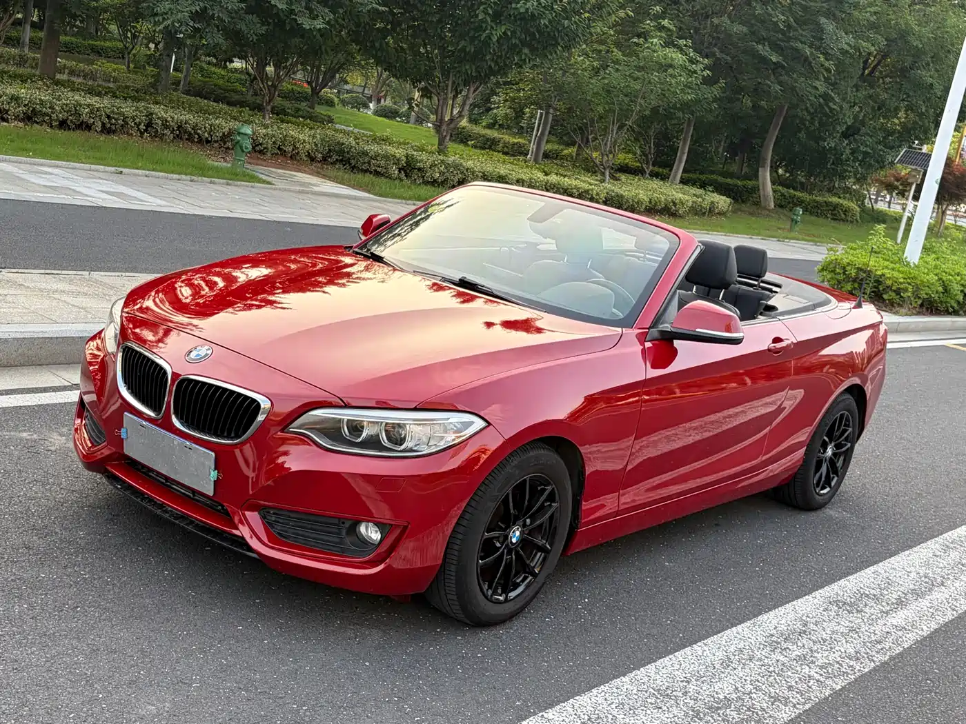 BMW 2 Series (Import) 2015 218i Convertible Coupe фото 2