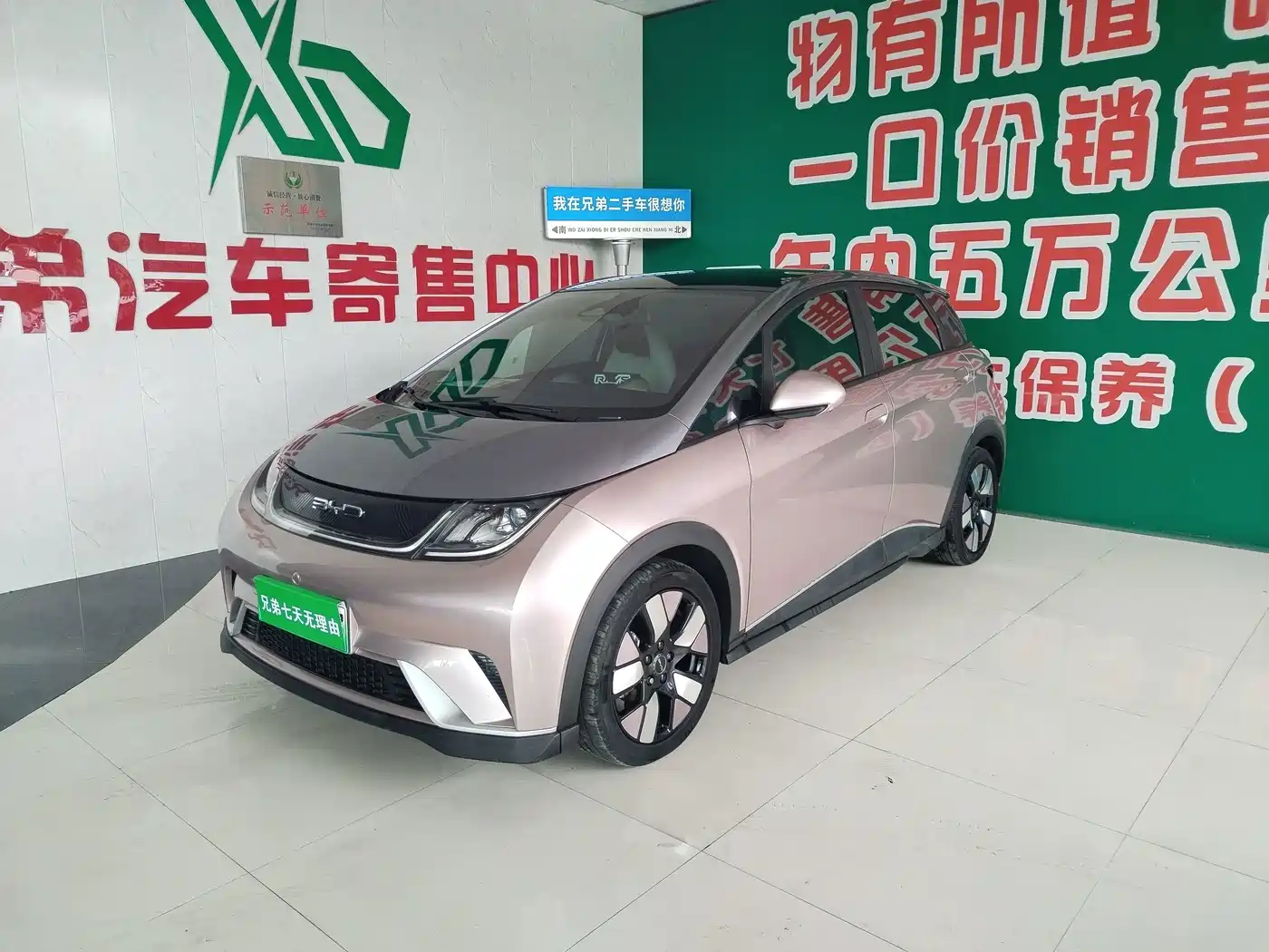 Фото 1 - BYD Dolphin