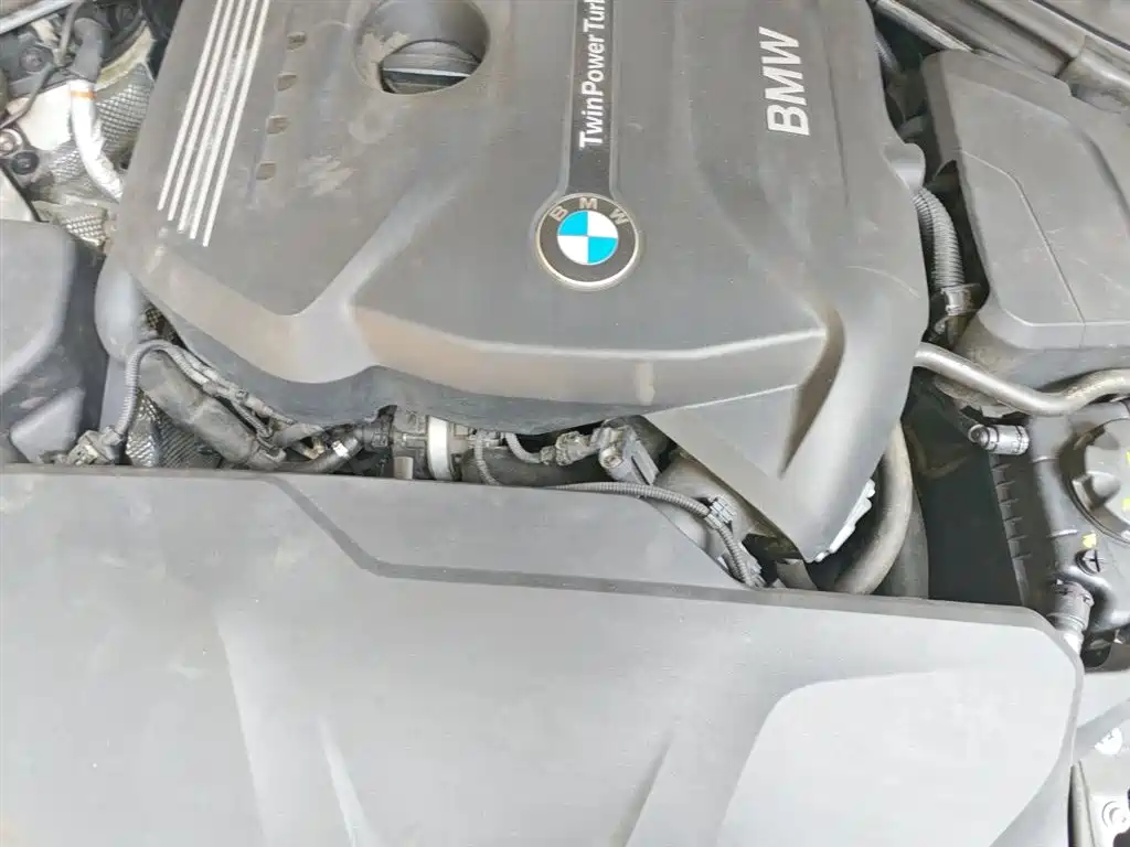 BMW 3 Series 2019 320Li M Sport Package фото 11