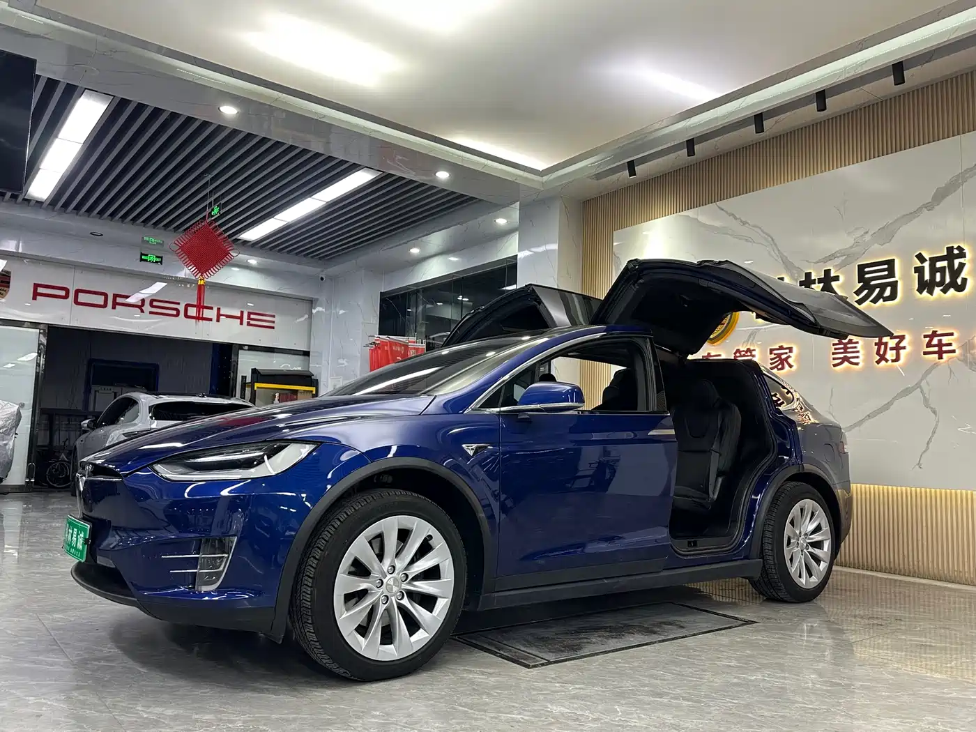 TESLA MODEL X