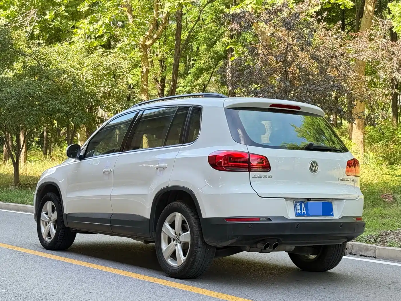 Volkswagen Tiguan 2013 1.8TSI Auto 2WD Comfort Edition фото 4