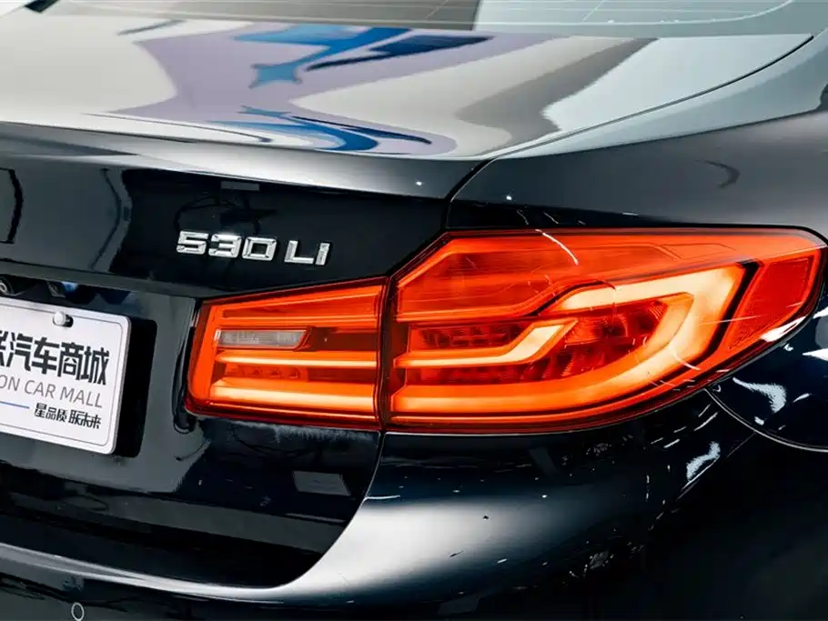 BMW 5 Series 2020 530Li Leading M Sport Package фото 8