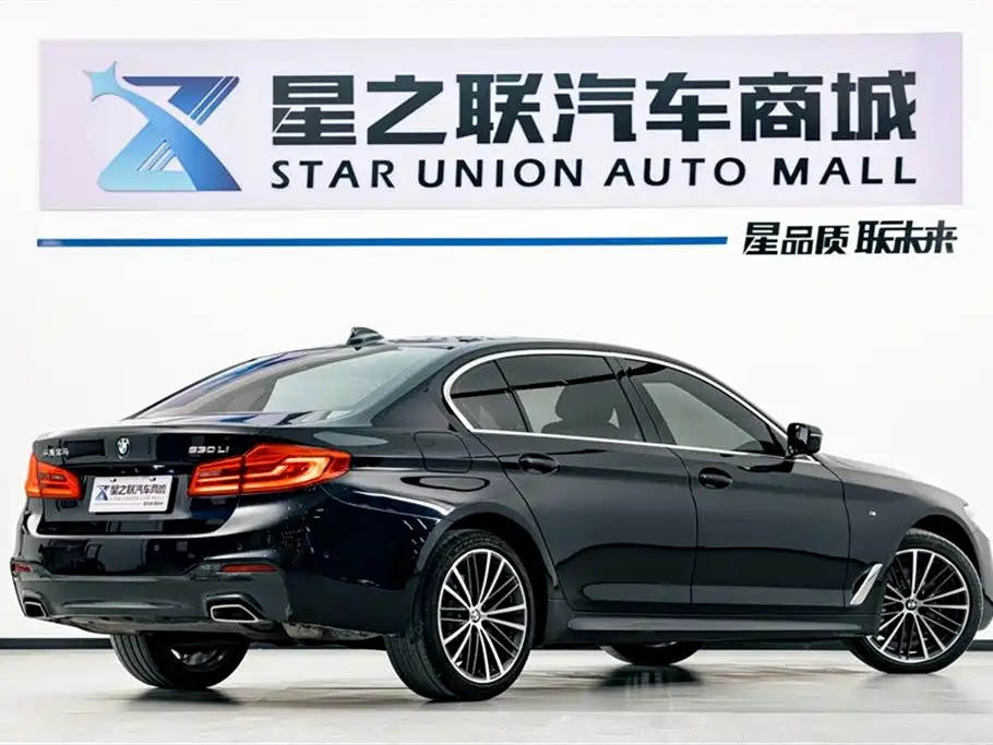 BMW 5 Series 2020 530Li Leading M Sport Package фото 6