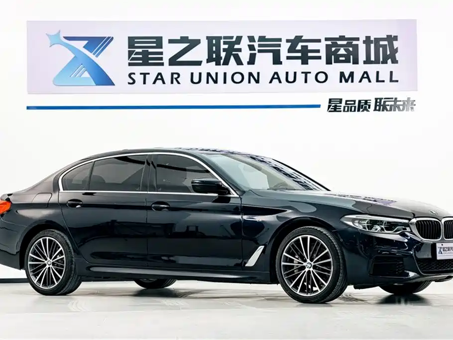 BMW 5 Series 2020 530Li Leading M Sport Package фото 5