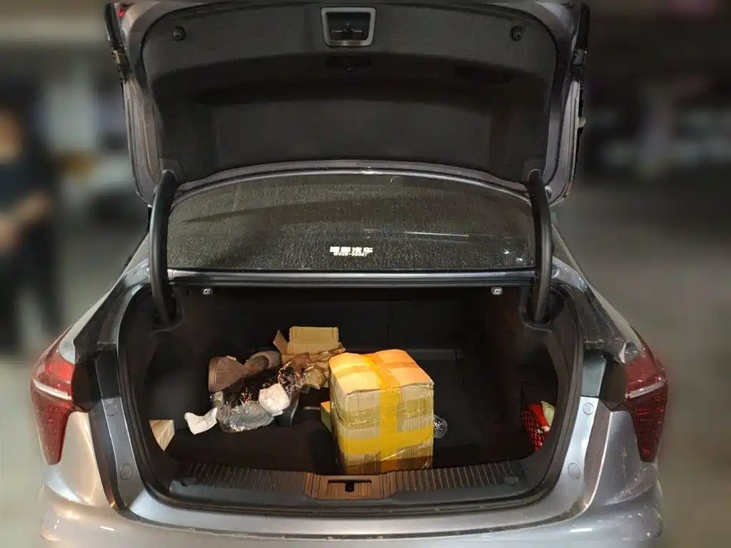 Hongqi H5 2024 2.0T Automatic Smart Connect Flag Smooth Edition фото 15