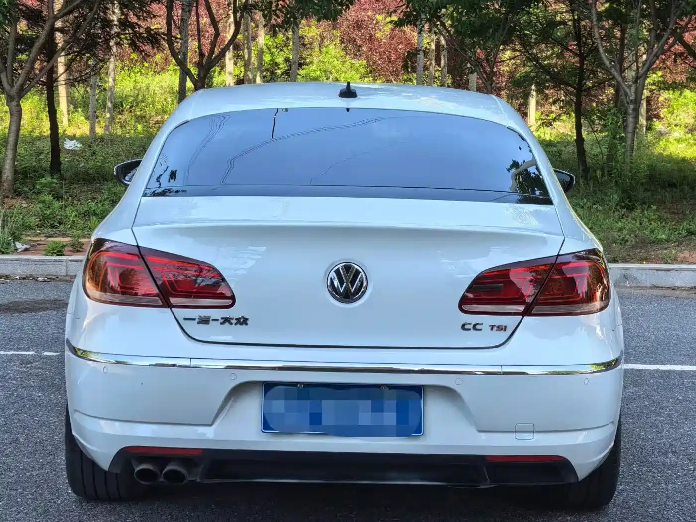 Volkswagen FAW-Volkswagen CC 2013 2.0TSI Luxury фото 5