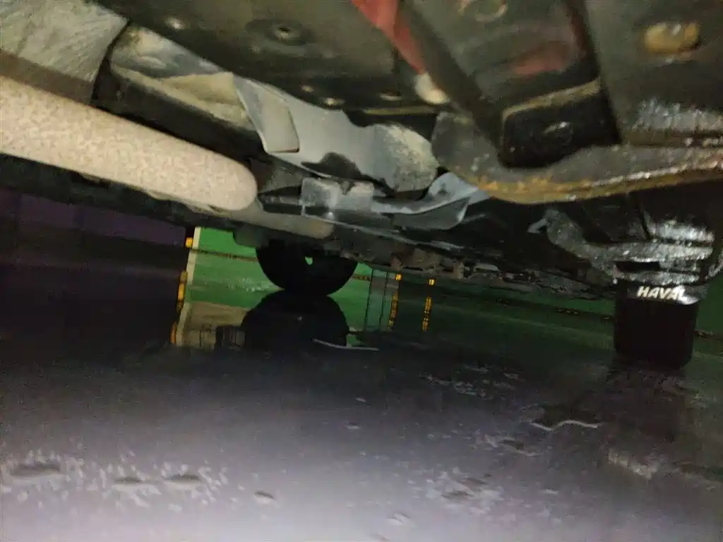 Haval Big Dog 2021 1.5T DCT 2WD Malinois Edition фото 17