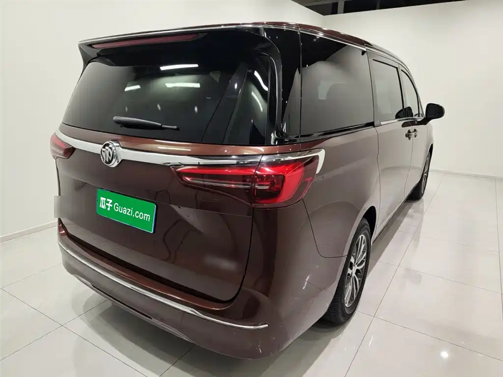 Buick GL8 2022 ES Landmark 653T Premium фото 7