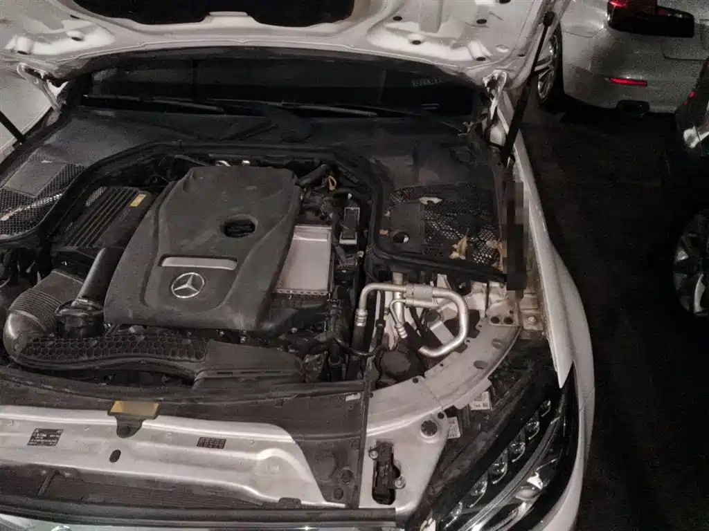 Mercedes-Benz C-Class 2018 C 200 L фото 23