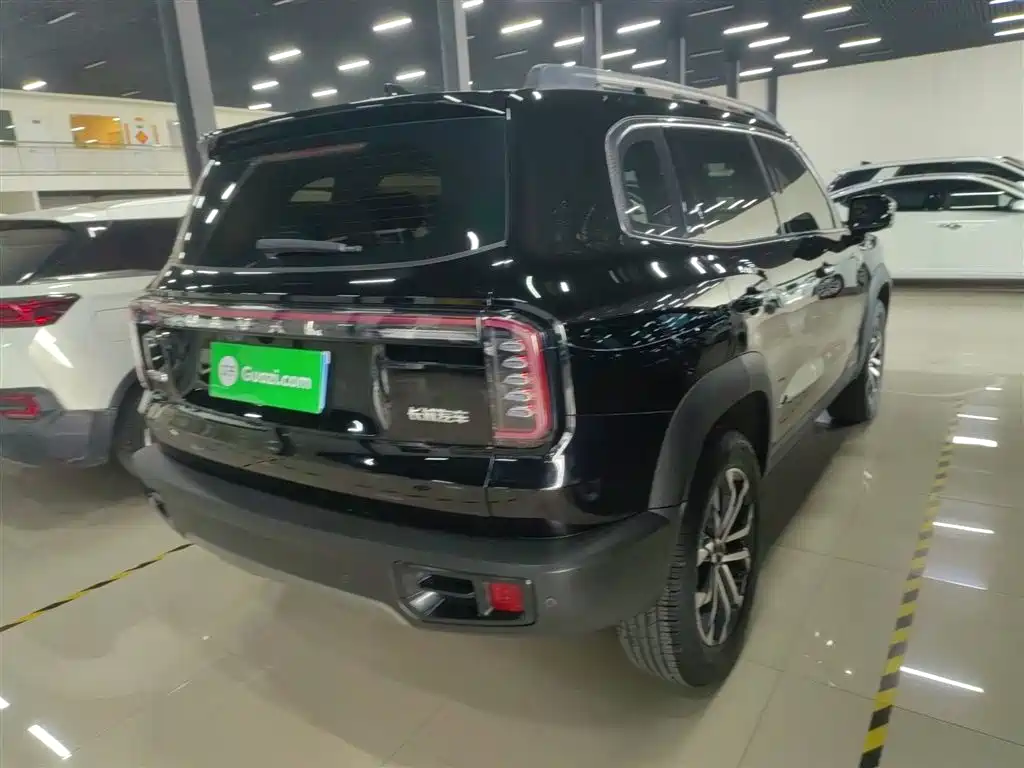 Haval Big Dog 2024 1.5T DCT Border Collie Edition фото 7